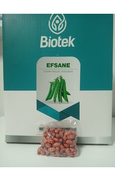 Biotek Oturak Efsane Fasulye Tohumu 100 Gr 2 Adet Biotek Oturak Efsane Fasulye Tohumu 100 Gr 2 Adet