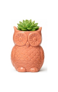 Mıknatıslı Mini Baykuş Saksı, Pembe Mıknatıslı Mini Baykuş Saksı, Pembe