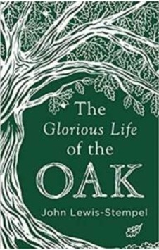 The Glorious Life Of The Oak 9780857525819 The Glorious Life Of The Oak 9780857525819