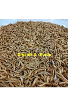 Un Kurdu 1 Kg Un Kurdu 1 Kg