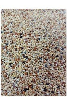 Muhabbet Kuş Yemi 1 KG Muhabbet Kuş Yemi 1 KG