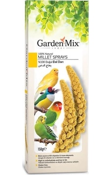 Garden Mix Platin Kuş Yemi Sarı Dal Darı