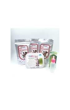 Perry Yavru Kedi Süt Tozu 3 Adet + 60ml Biberon + Kedi Çimi Perry Yavru Kedi Süt Tozu 3 Adet + 60ml Biberon + Kedi Çimi
