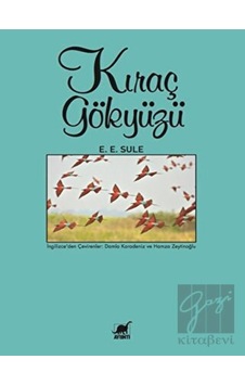 Kıraç Gökyüzü Ayrıntı Yayınları - Ayrıntı Yayınları
