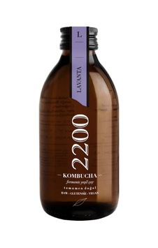 Kombucha 2200 Lavantalı Fermente Yeşil Çay 250 ML Kombucha 2200 Lavantalı Fermente Yeşil Çay 250 ML