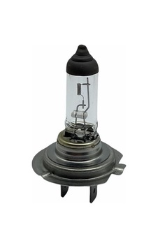 Seger 12v H7 Ampul 55w Standart Korea Seger 12v H7 Ampul 55w Standart Korea