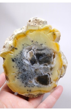 Bal-sarı Ve Buz-mavi Dendritik Opal Levha - Kuvars Jeot Boşlukları Ve Siyah Dendrit Tüyler, 377g