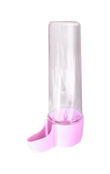 Kuş Suluğu Pembe Kuş Suluğu Pembe