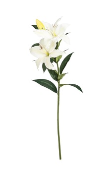 Concept Zambak Çiçeği Beyaz 85cm Concept Zambak Çiçeği Beyaz 85cm