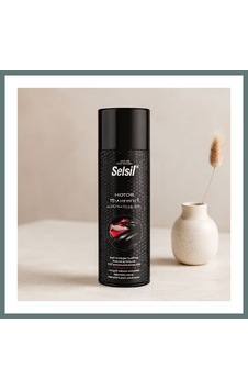 Ventra Araç Motor Temizleyici Parlatıcı Sprey 500 Ml Ventra