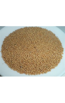 Hardal Tohumu Sarı 1 KG