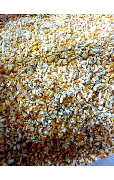Akderepet Kırık Mısır Yem 1 KG