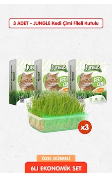 3 Adet Özel Gübreli %100 Doğal Kedi Çimi Fileli Ve Kutulu Tüy Yumağı Önleyici 3 Adet Özel Gübreli %100 Doğal Kedi Çimi Fileli Ve Kutulu Tüy Yumağı Önleyici