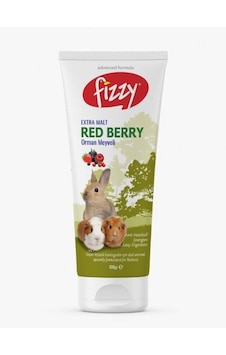 Fizzy Kemirgen Red Berry Paste 100gr Fizzy Kemirgen Red Berry Paste 100gr