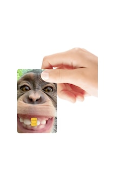 Sırıtan Maymun Temalı Parlak Kredi/banka Kart Kaplama Sticker Standart Sırıtan Maymun Temalı Parlak Kredi/banka Kart Kaplama Sticker Standart