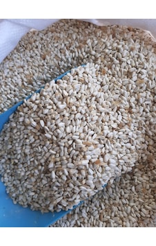 Mh Aspir Tohumu Güvercin Sultan Papağanı Yemi 4 KG Mh Aspir Tohumu Güvercin Sultan Papağanı Yemi 4 KG