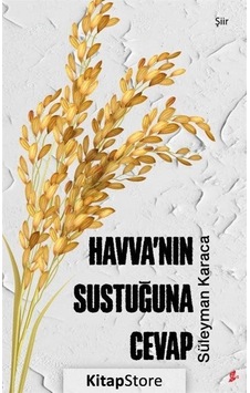 Havva'nın Sustuğuna Cevap - Süleyman Karaca - Okur Kitaplığı