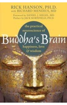 Buddha's Brain: The Practical Neuroscience Of Happiness, Love, And Wisdom 9781572246959 Buddha's Brain: The Practical Neuroscience Of Happiness, Love, And Wisdom 9781572246959
