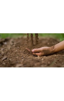 15 Lt 10 Kg %100 Doğal Tınlı Bahçe Toprağı 3'te 1 Keçi Gübresi Katkılı 15 Lt 10 Kg %100 Doğal Tınlı Bahçe Toprağı 3'te 1 Keçi Gübresi Katkılı