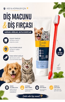 Kedi Ve Köpek Diş Macunu 100 Gr Çift Taraflı Diş Fırçası Ağız Bakım Seti Kedi Ve Köpek Diş Macunu 100 Gr Çift Taraflı Diş Fırçası Ağız Bakım Seti