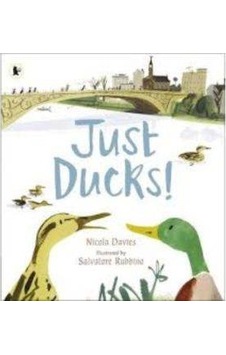 Just Ducks Just Ducks