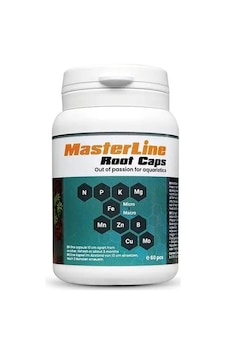 Masterline Root Caps 60 Adet