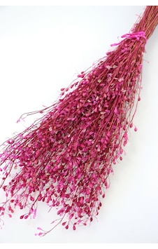 Yapay Çiçek Deposu Kuru Çiçek Tomurcuk Otu Demeti 45 Cm Pembe Yapay Çiçek Deposu Kuru Çiçek Tomurcuk Otu Demeti 45 Cm Pembe