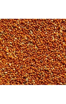 Kızıl Darı Kırmızı Darı Kuş Yemi Dökme 1 Kg Kızıl Darı Kırmızı Darı Kuş Yemi Dökme 1 Kg
