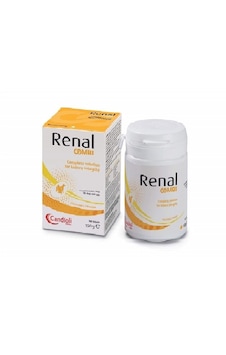 Candioli Renal Combi Powder Kedi/köpek Böbrek Desteği 150 Gr Toz Candioli Renal Combi Powder Kedi/köpek Böbrek Desteği 150 Gr Toz