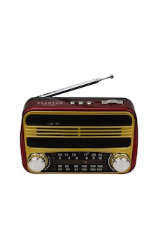 Everton Rt 310  Radyo