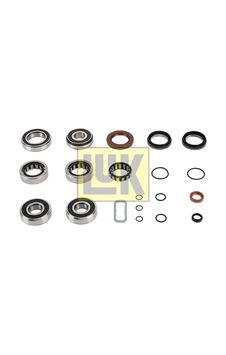 Rulman Tamir Takımı - Dacia Duster, Sandero - Schaeffler-luk-462020510