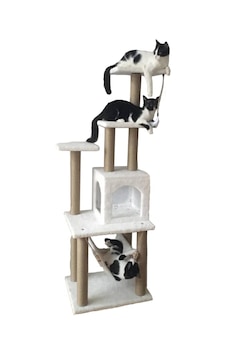 Pethomealpi Kedi Tırmalama Evi Pethomealpi Kedi Tırmalama Evi