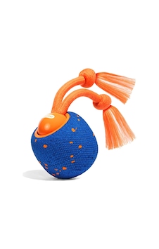 Cheerble Wicked Ball Rolly Mavi Cwq07-bl Şarjlı, İpli Ve İnteraktif Köpek Oyuncağı Cheerble Wicked Ball Rolly Mavi Cwq07-bl Şarjlı, İpli Ve İnteraktif Köpek Oyuncağı