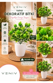 Yapay Yeşil Elma Meyveli Dekoratif Bitki 40-45 Cm Dolomit Taşlı Saksı Diğer Yapay Yeşil Elma Meyveli Dekoratif Bitki 40-45 Cm Dolomit Taşlı Saksı Diğer