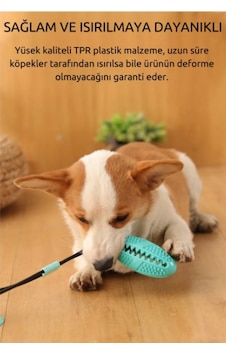Raikou Köpek Çiğneme Oyuncağı Raikou Köpek Çiğneme Oyuncağı