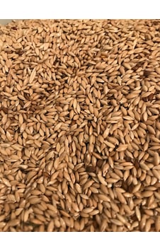 Vivid Aspur Sade Kanarya Yemi 1 KG Çuvaldan Bölme Vivid Aspur Sade Kanarya Yemi 1 KG Çuvaldan Bölme