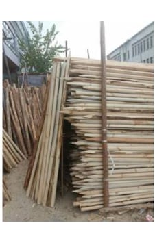 Ahşap Direk Fidan Destek Direkleri 150 Cm 15 Adet Ahşap Direk Fidan Destek Direkleri 150 Cm 15 Adet