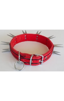 Le-Sar Kolon Çatal U Çivili Tasma 4 CM 70 CM (Ls-804) Çok Renkli Le-Sar Kolon Çatal U Çivili Tasma 4 CM 70 CM (Ls-804) Çok Renkli