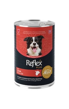 Northcity Kuzu Etli Yetişkin Köpek Maması 400 Gr - Jöle İçinde Et Parçacıklı Lezzetli Konservesi Northcity Kuzu Etli Yetişkin Köpek Maması 400 Gr - Jöle İçinde Et Parçacıklı Lezzetli Konservesi