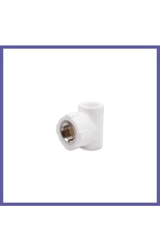 Bezos Pprc 20mm1/2 İç Dişli T 1 Adet Nıda