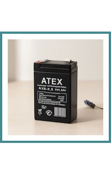 Trendexa 6v 2.8ah İnce Kuru Akü Mac
