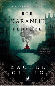 Bir Karanlık Pencere Karton Kapak / Rachel Gillig