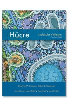 Hücre Moleküler Yaklaşım 7. Baskı  Ciltsiz