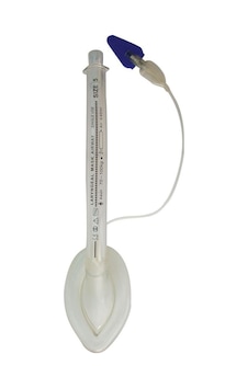 Beybi 24.06522 Pvc Disposable Larengeal Maske No: 1.5