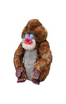Peluş Mandrill 50 Cm Wıld Republıc Artist Serisi Çok Renkli Peluş Mandrill 50 Cm Wıld Republıc Artist Serisi Çok Renkli