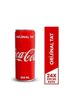 Coca Cola 250 Ml Kutu, 24'lü Paket 1 L Coca Cola 250 Ml Kutu, 24'lü Paket 1 L