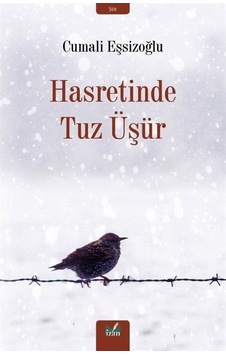 Hasretinde Tuz Üşür - Cumali Eşsizoğlu - İzan Yayıncılık