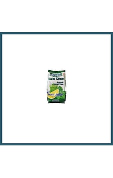 Bezos Poli Nane Limon 450 Gr Ob