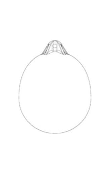 Ocean Usturmaça. Balon. R3. 44x58CM. Beyaz/Mavi Ocean Usturmaça. Balon. R3. 44x58CM. Beyaz/Mavi