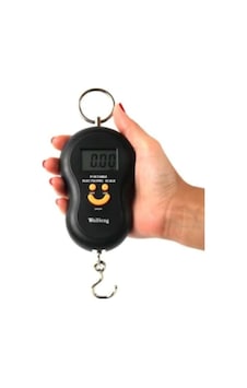 Gülenyüz Elektronik Dijital El Kantarı 50 Kg Terazi Tartı 10 gr Hassas